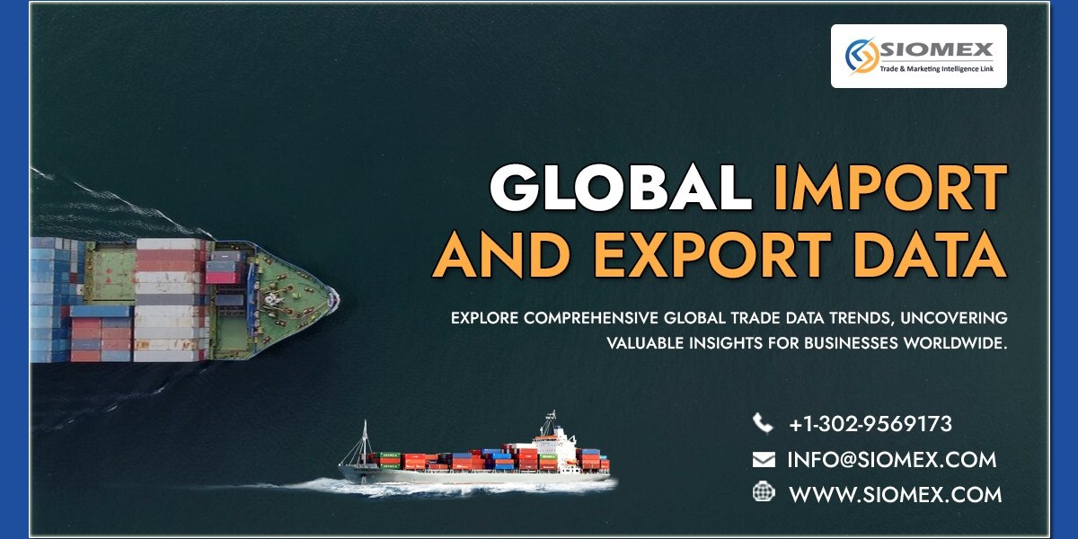 What is the growth rate of India exports in 2024