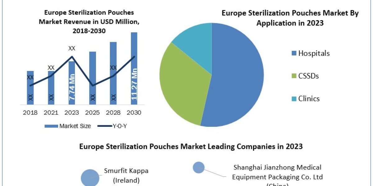 Europe Sterilization Pouches Industry New Developments And Strategies 2030