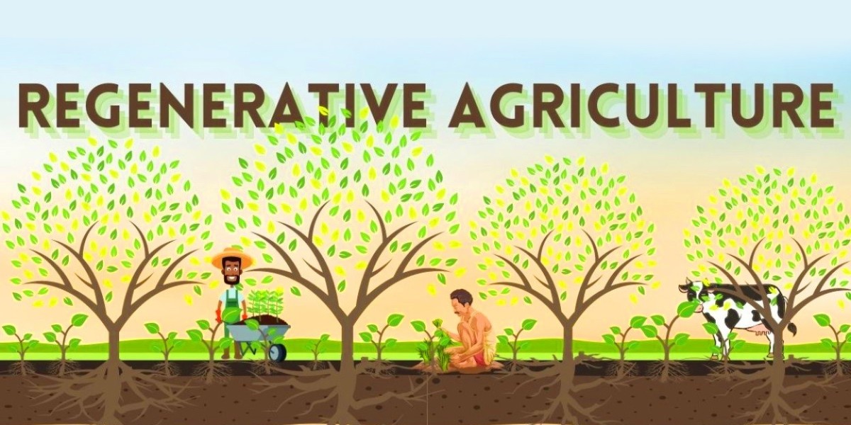 Regenerative Agriculture Market 2024 Global Insights and Business Scenario 2031