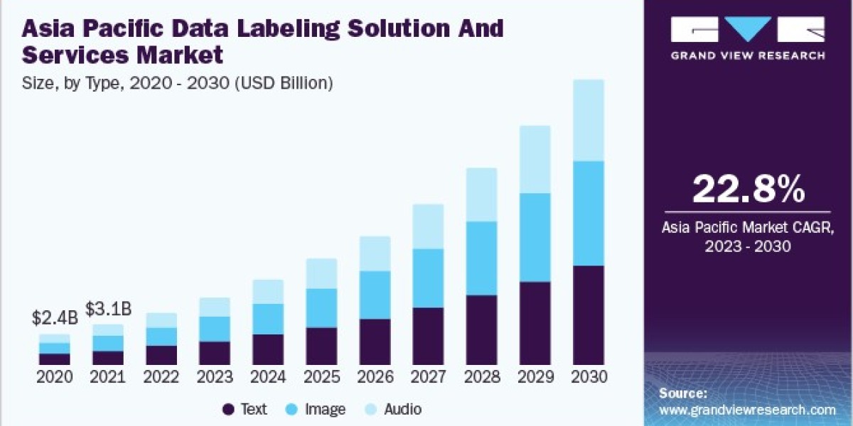 Data Labeling Solution and Services Market: Navigating Challenges in AI and Machine Learning