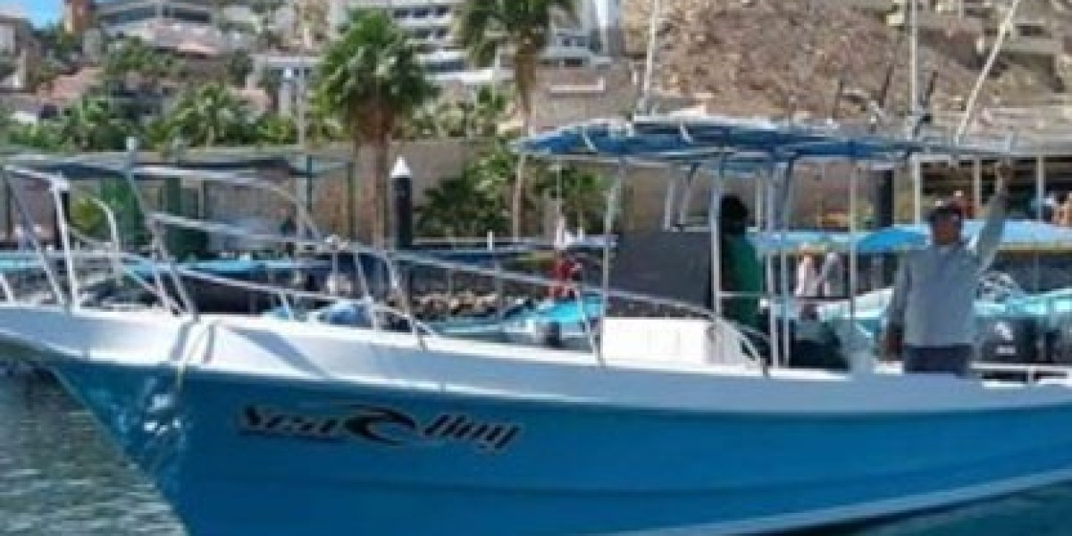 Cabo Fishing Charters: The Ultimate Guide to a World-Class Fishing Adventure