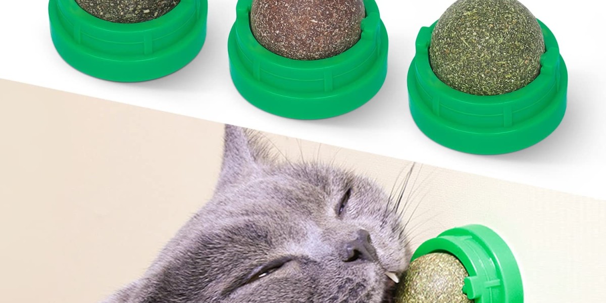 Thoughtful Gifts for Cat Owners: The Ultimate Guide