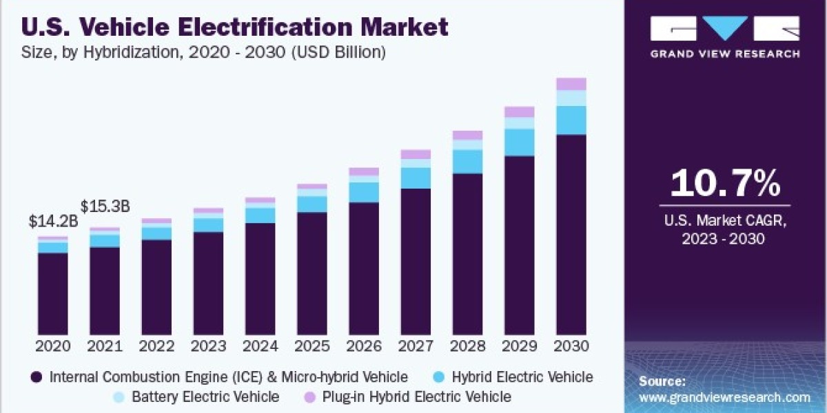 Vehicle Electrification Market: Key Challenges in Product Development and Innovation