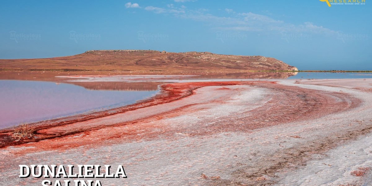 Dunaliella Salina Market on Track to Reach $69.6 Million by 2031 with 4% CAGR