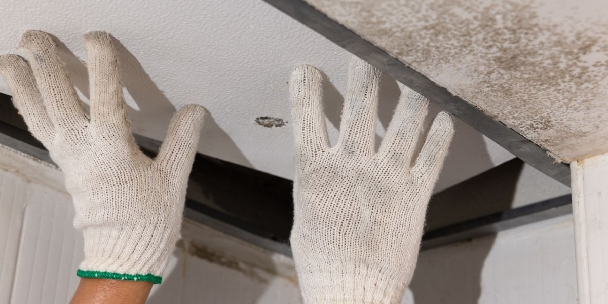 How to Prevent Water Damage with Expert Ceiling Leakage Repair in Singapore