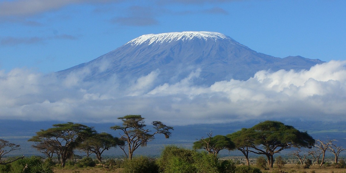 Unforgettable African Adventure: Night Safari in Tanzania, Zanzibar Vacation Packages, and Climb Mount Kilimanjaro