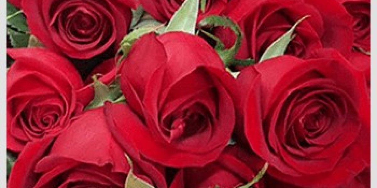 Why Choose Flowers Carnations and Wholesale Roses for Your Floral Arrangements?