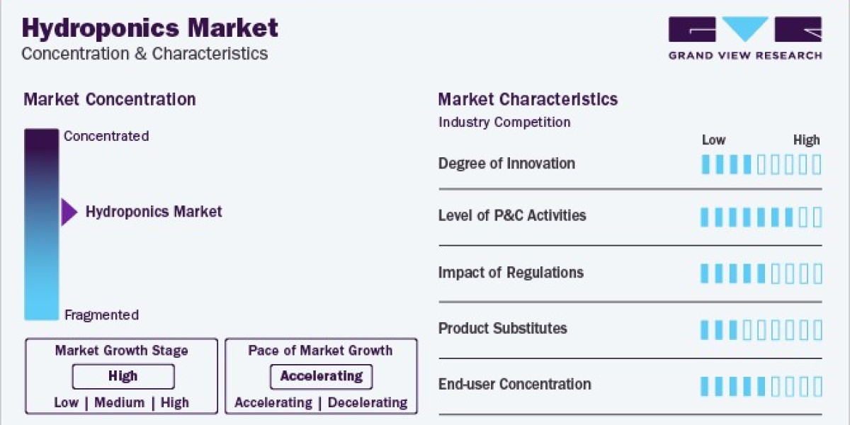 Hydroponics Market Segmentation, Types, Applications, And Consumer Trends