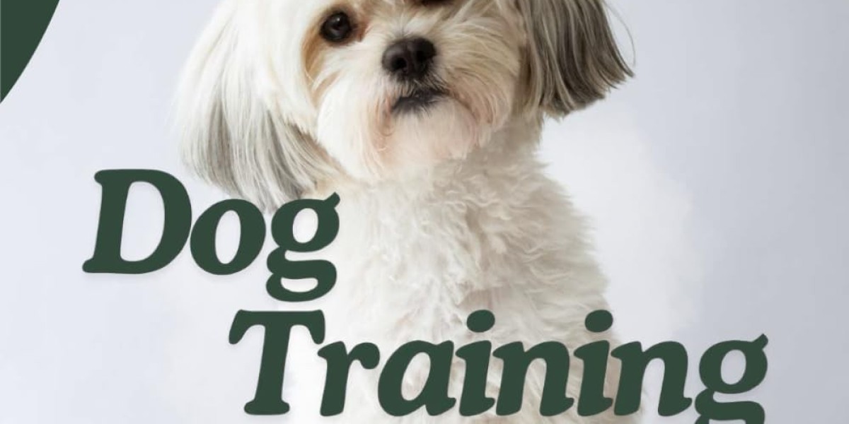 The Best Dog Training Books For You To Become A Pro