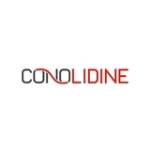 Conolidine Blogs