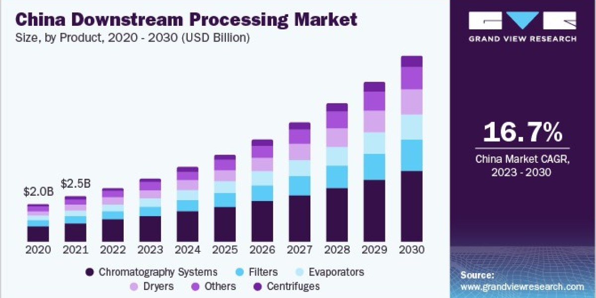 Downstream Processing Market: Analyzing Growth Opportunities and Challenges in 2024