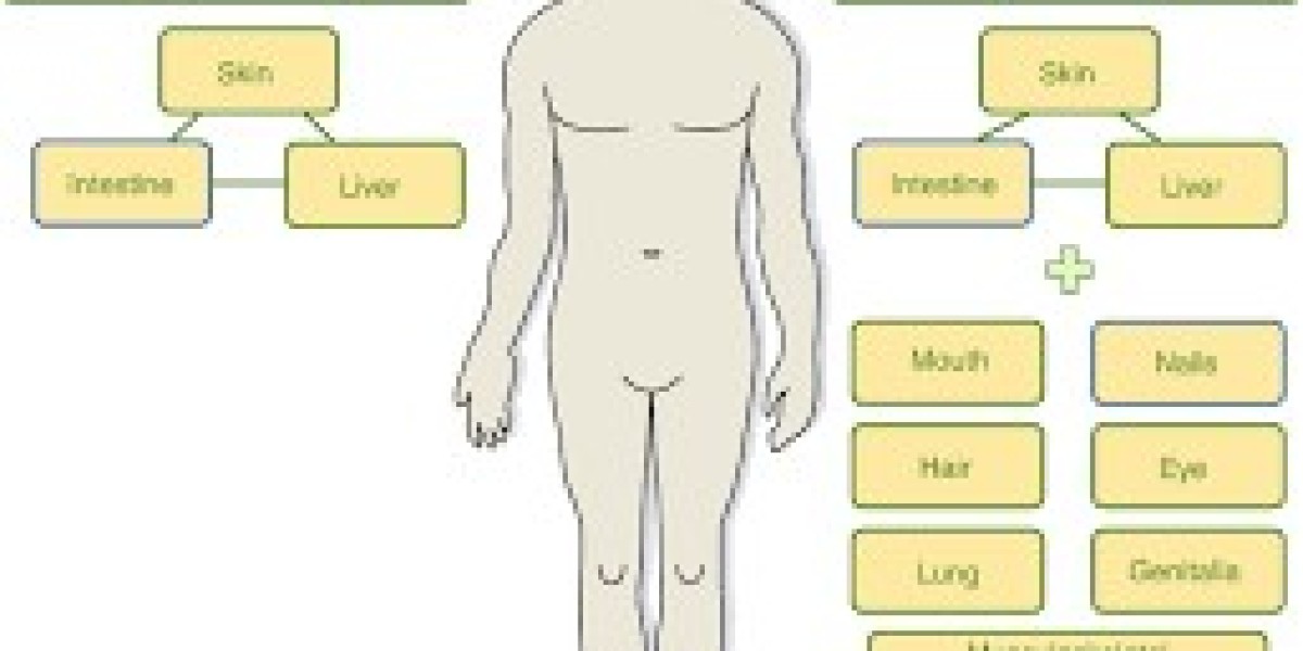 Acute Graft-versus-Host Disease Treatment Market is Anticipated to Witness Significant Growth Owing to Increasing Incide