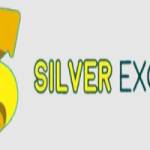 Silver Exchids