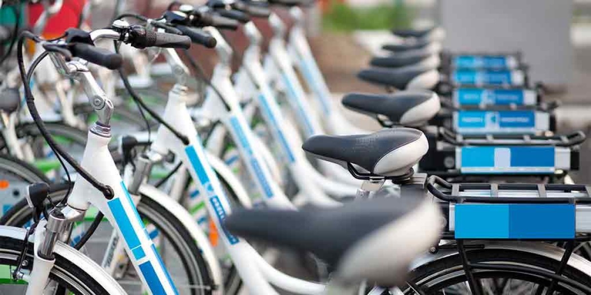 Canada Bicycle Market Insights and Growth Projections 2024 - 2032