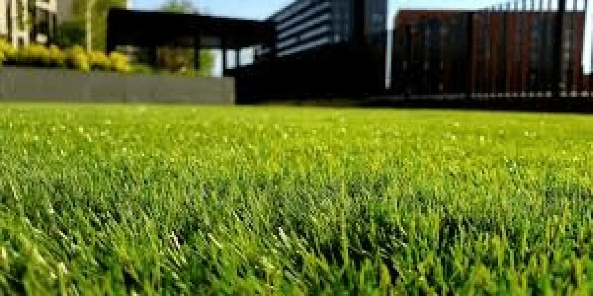 Expert Lawn Care Services in Calgary for a Lush, Healthy Lawn Year-Round