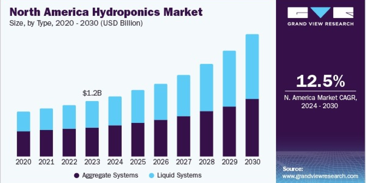 Hydroponics Market Impact: Technology's Role in Sustainable Food Production