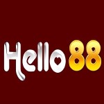 hello88 photography