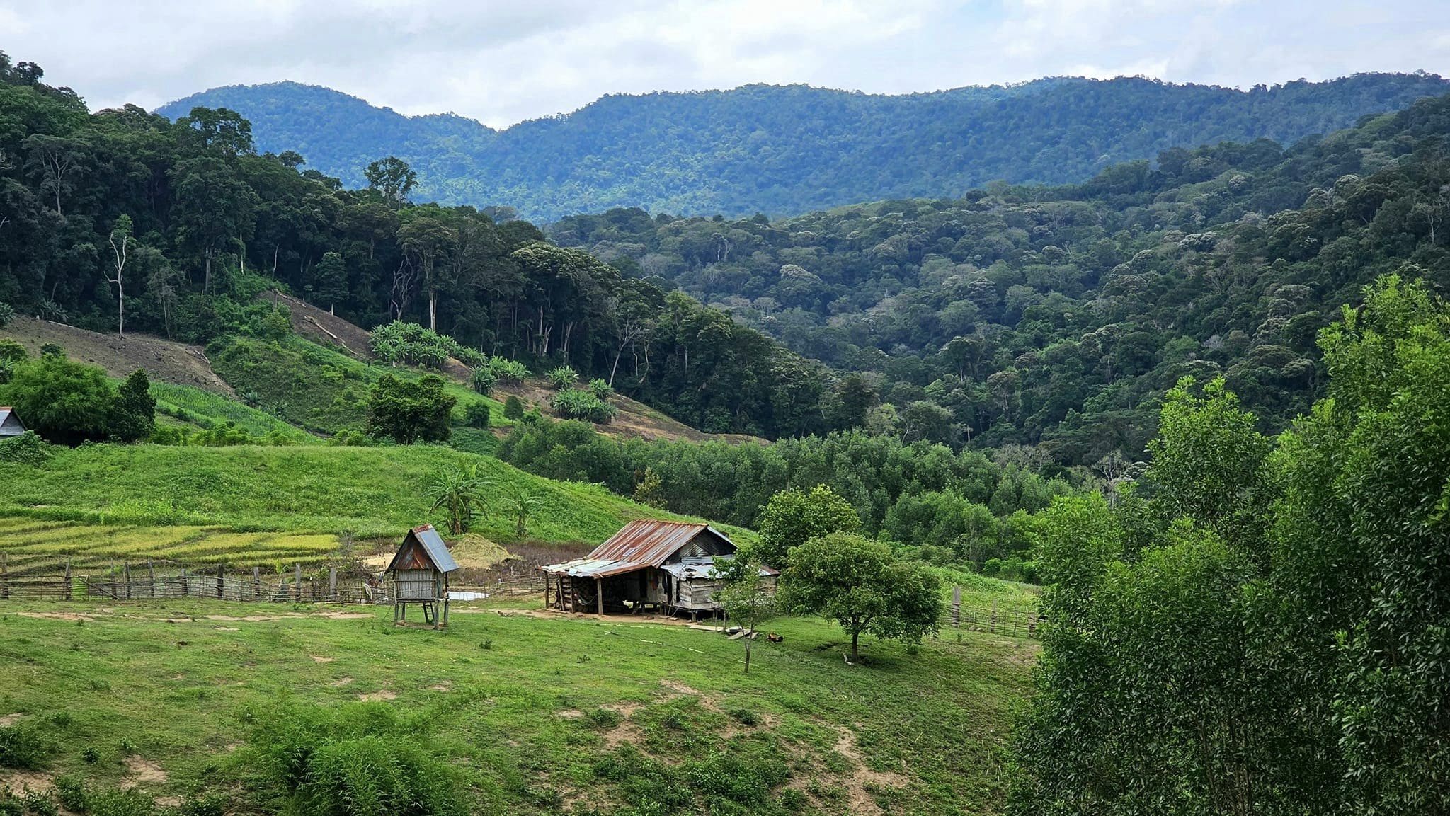 Cẩm Nang Du Lịch Măng Đen - Măng Đen Kon Tum