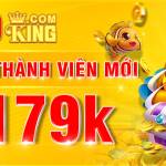 79KING loans