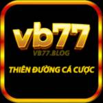 VB77 VB77 blog