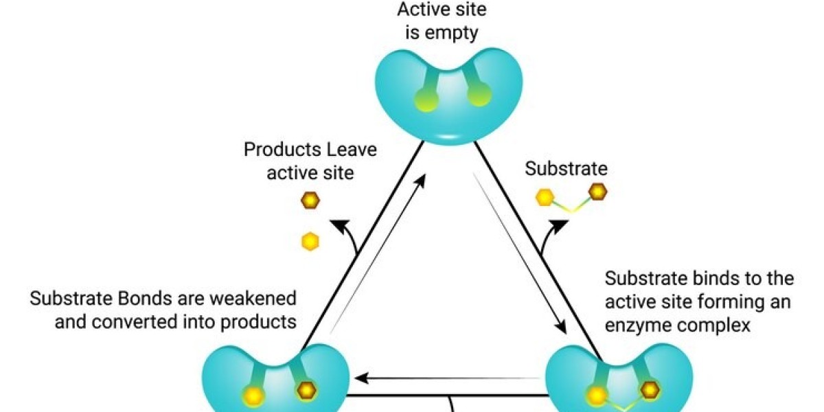 Sustainability Trends Boosting Enzymes Adoption in Wastewater Treatment