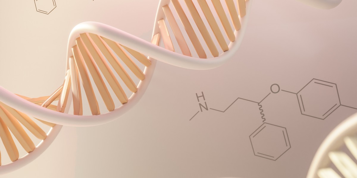 The Chemical Composition of Chromosomes: Key Components and Their Role