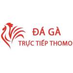 Đá Gà Trực Tiếp Thomo Hôm Nay