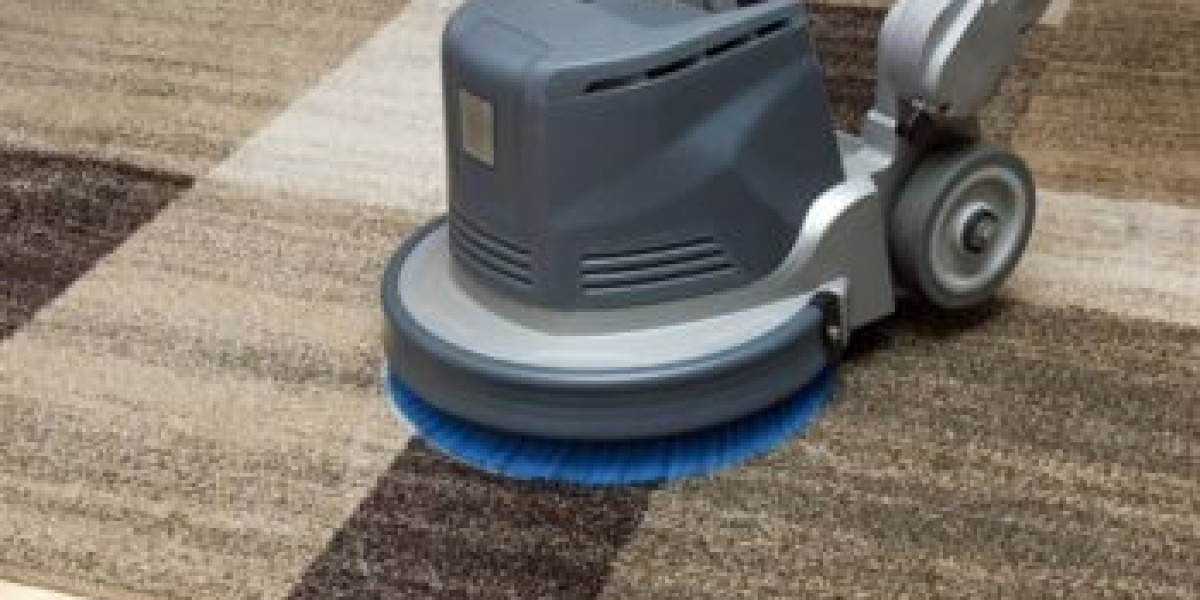 Why Professional Carpet Cleaning Is Essential for Allergy Management