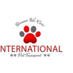 International Pet Transport