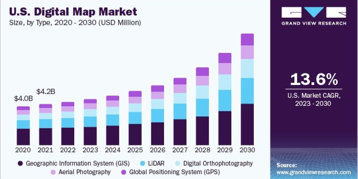 Digital Map Market Landscape: Niche Segments and Emerging Technologies