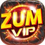 Zumvip Net