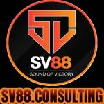 SV88 Consulting