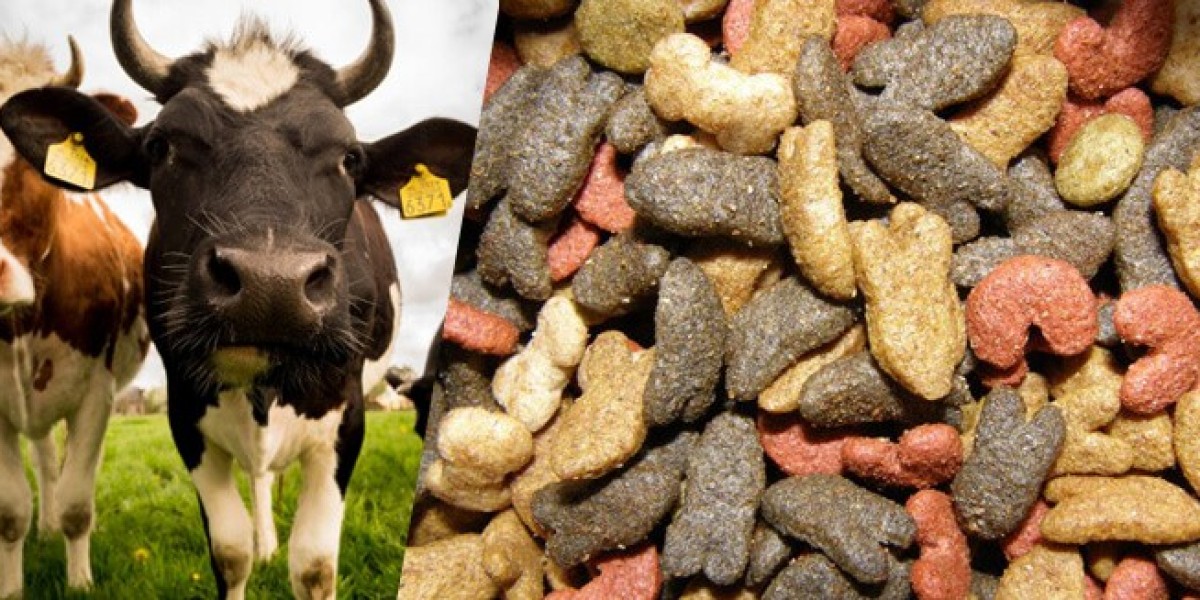 Exploring the Health Benefits of Omega-3 Additives in Animal Feed