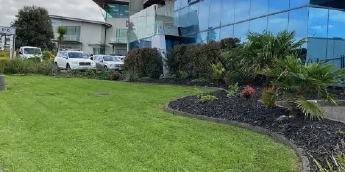 How Often Should I Schedule Garden Maintenance in Auckland?