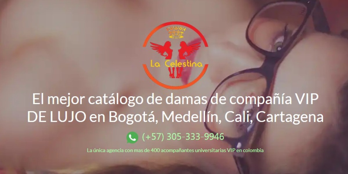 Experiencia Exclusiva con Damas de Compañía en Cartagena y Medellín