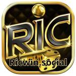 RICWIN