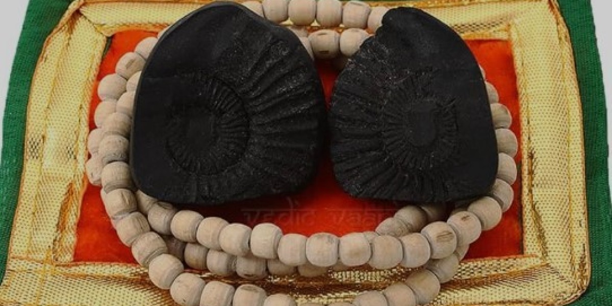 Buy All Types Of Shaligrams & Shaligram Accessories Online