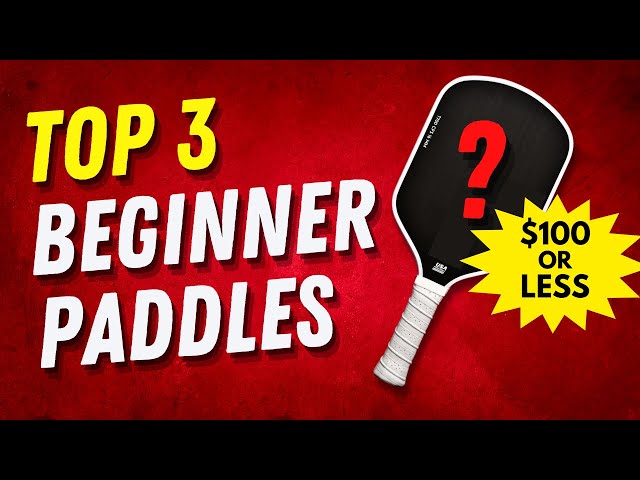 Beginner Pickleball Paddle - Daily Blog Zone