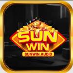 SUNWIN audio