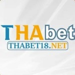 THABET18 net