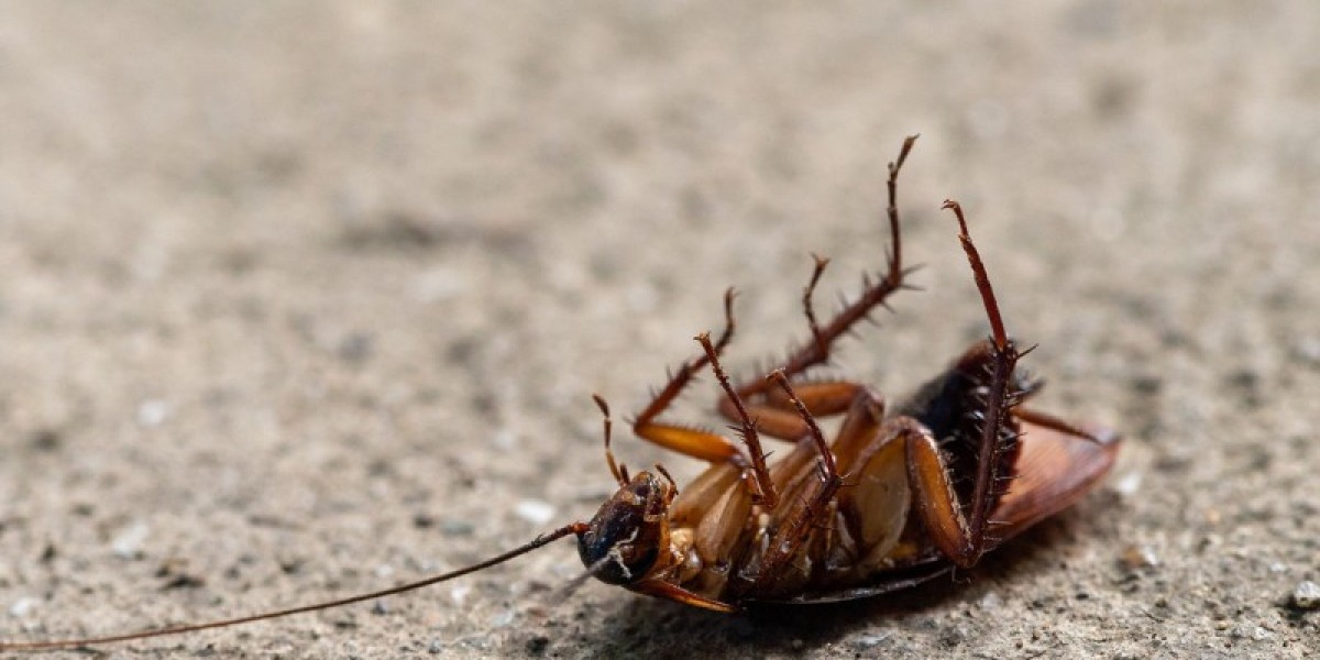 Pest Control Services in Ballston Spa: Protect Your Home from Unwanted Pests