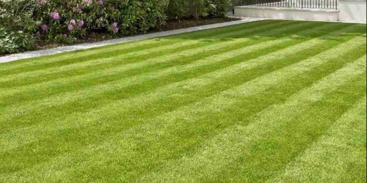 Natural Grass: A Perfect Choice for Gardens and Outdoor Spaces