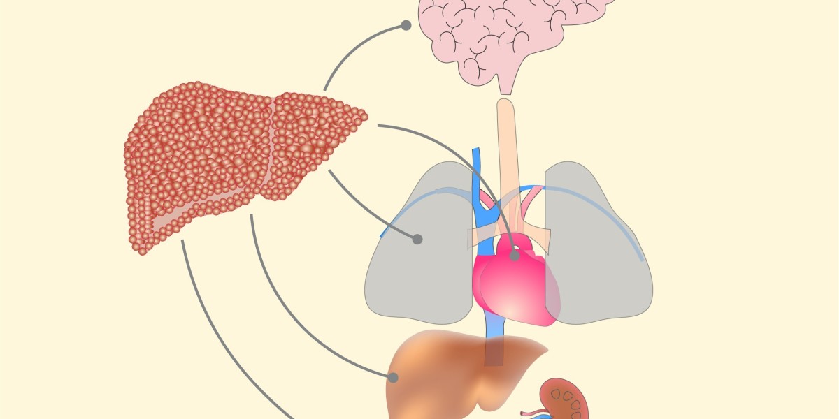 Acute On Chronic Liver Failure (ACLF) Market is driven by increasing prevalence of liver diseases