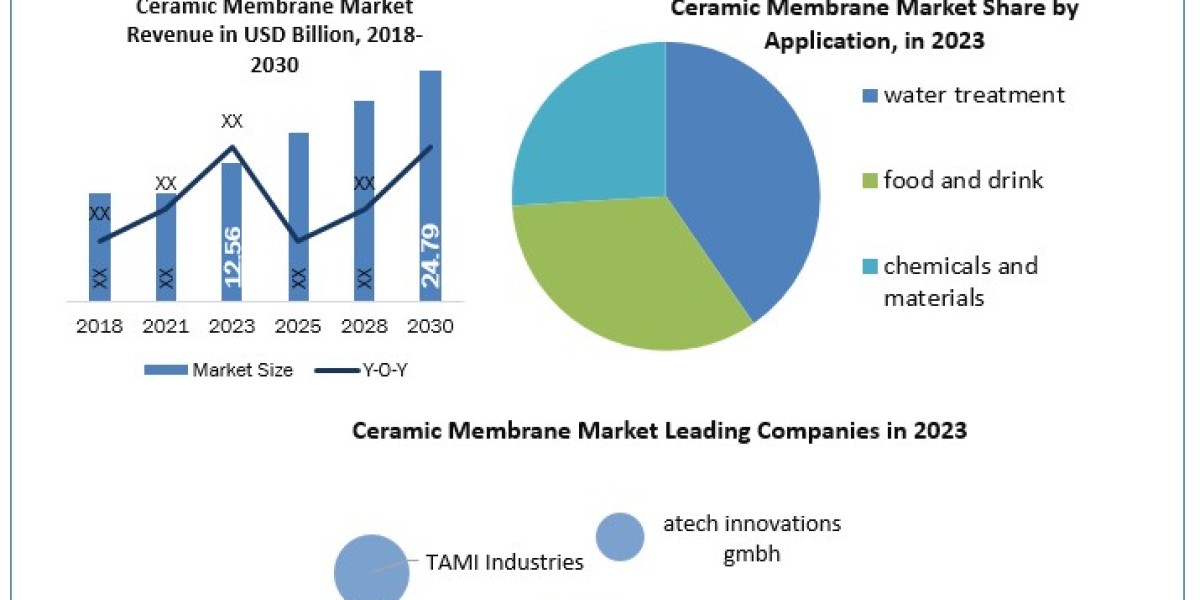 Ceramic Membrane Companies Size, Forecasting Share and Scope for 2024-2030