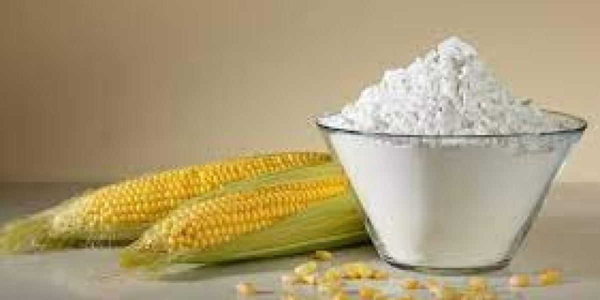 Modified Starch Market Size, Growth & Global Forecast Report to 2032