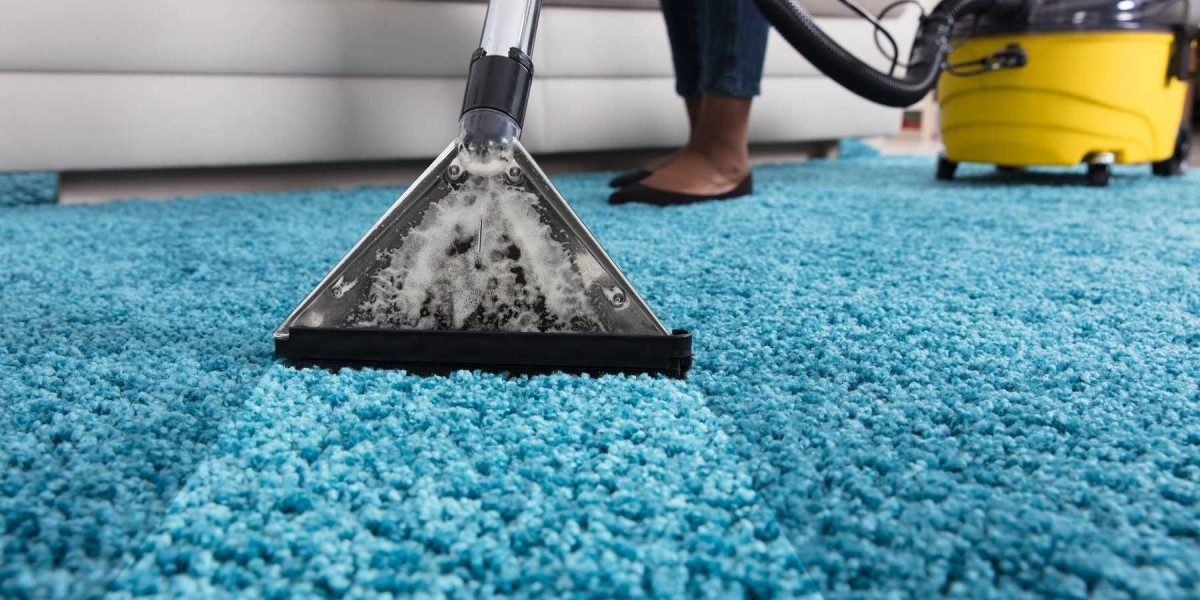 The Importance of Professional Carpet Cleaning for Property Value