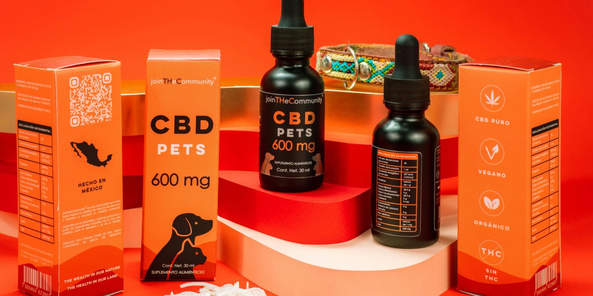 How CBD Can Help Manage Anxiety and Stress in Dogs