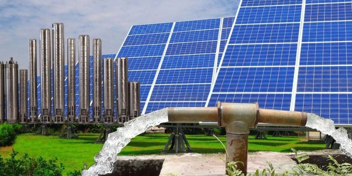 Malawi Solar Water Pumps Market Trends and Growth Projections 2024 - 2032