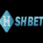 SHBET sân chơi cá cược