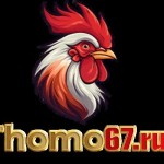 THOMO67 run